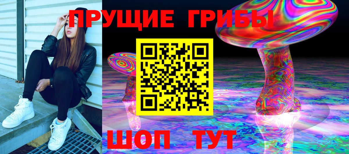 Псилоцибиновые грибы GOLDEN TEACHER  Вход с VPN  где продают наркотики  Сарапул  Псилоцибиновые грибы мухоморы 