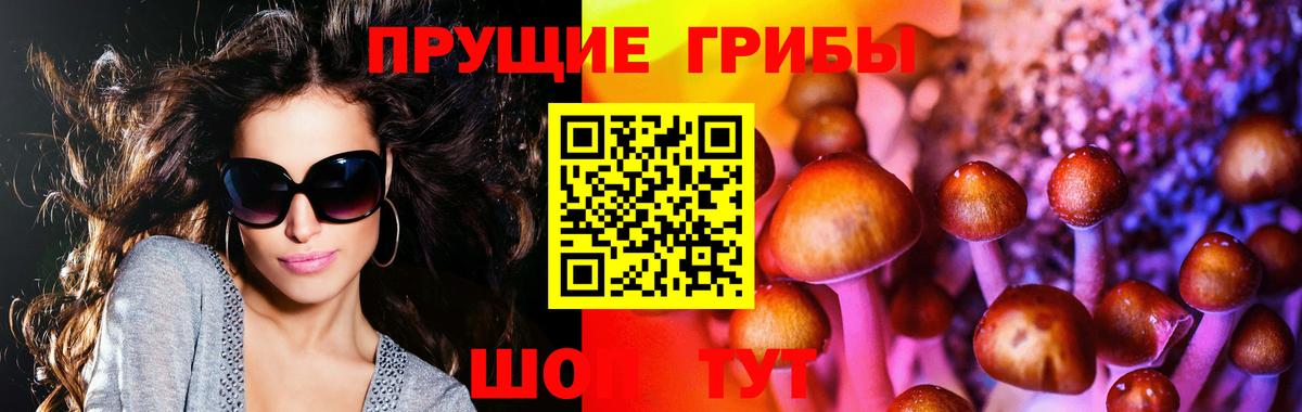 Галлюциногенные грибы мухоморы Сарапул